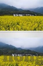 69堂成人免费视频-解锁知识新视界，69堂成人免费视频的多元探索