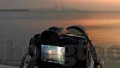 糖心vlog官网入口贴吧-幽径导览，挖掘糖心Vlog官网入口—那些不为人知的秘密角落